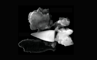 Magnetic fossils powered ancient animal navigation