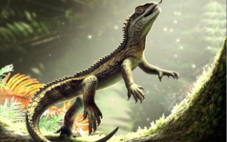 Synchrotron science uncovers the origins of lizards