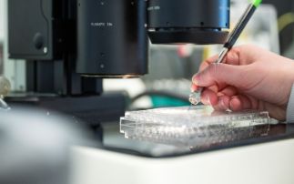 Pump prime funding strengthens collaboration across Harwell