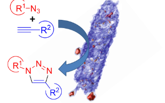 Biosynthesis of copper nanoparticle catalysts