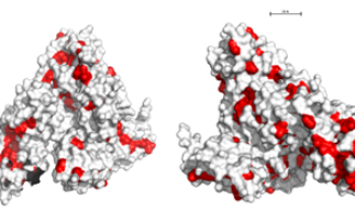 “New instrument in scientists’ toolbox”