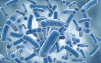 The Achilles heel of Mycobacterium Tuberculosis