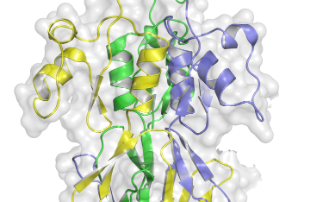 Disarming bacterial defences