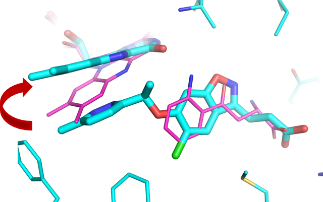 Targeting acute pancreatitis