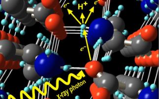 Uncovering the structure of biological molecules