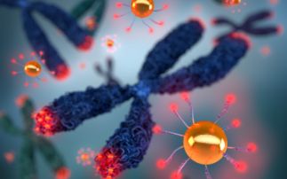 Probing tips of chromosomes