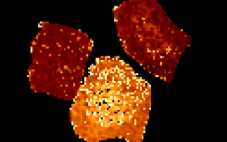 Probing catalytic structure