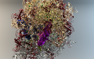 Potassium hunting on protein factories