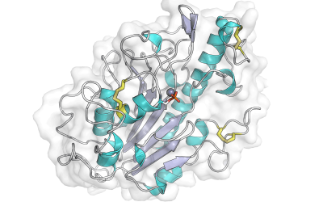 Thwarting antibiotic resistance