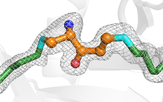 Significant discovery of vitamin B6 biosynthesis enzyme