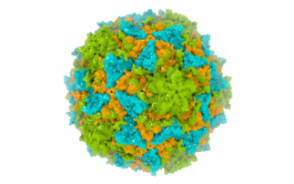 Cryo-EM developers win Nobel Prize 