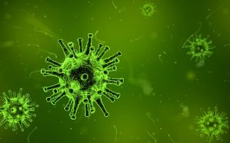 Significant step made towards understanding Rift Valley Fever virus