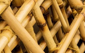 Understanding how alkaline treatment affects bamboo