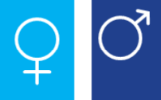 Gender Pay Gap