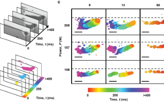 High-speed X-ray imaging reveals complex behaviour during metal 3D printing