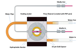 A novel dynamic flow system for chemical analysis of live biological cells