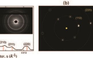 Building 3D nanomaterials with sticky DNA bricks