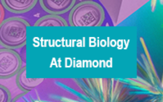 Structural biology at Diamond