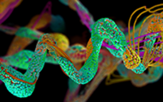 Understanding the folding mechanism of key proteins to prevent human disease