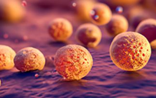 A novel treatment for Staphylococcus aureus (S. aureus) infections