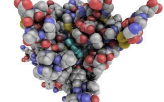 Caffeine and Parkinson's disease treatments