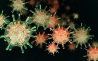 Understanding the viruses that kill cancer cells