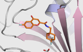 A new target for malaria research