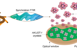 A polymer coating makes Metal Organic Frameworks better at delivering drugs