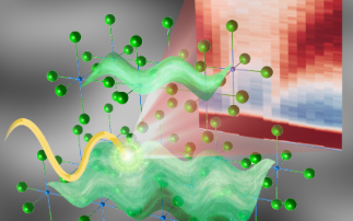 Acoustic plasmons found in hole-doped cuprate superconductors