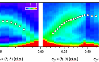 RIXS demonstrates magnetic behaviour in nickelate superconductors 