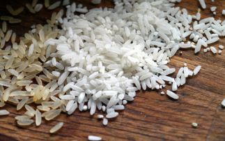 Giving rice new weapons to fight rice blast disease 
