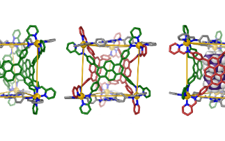 Coordination cages could help remove persistent environmental pollutants