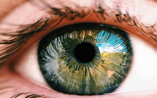 Materials beamline helps take a closer look at our eyes