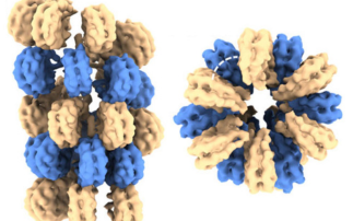 A closer look at how cells package DNA