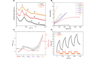 From Greenhouse Gas to Green Synthesis: CO<sub>2</sub> as a Raw Material for Next-Generation Polymers