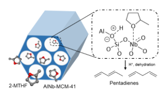 Control of zeolite microenvironment for biomass conversion 