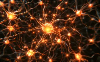 A new window into the brain: laser powered electron microscopy accelerates connectome mapping