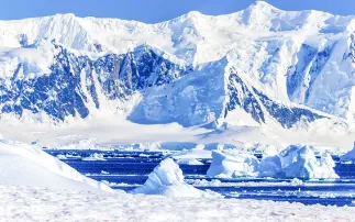 Frozen iron: how Antarctic glaciers feed the Southern Ocean’s hidden fertiliser 