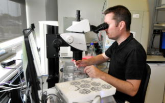 Fast fragment discovery with protein crystals