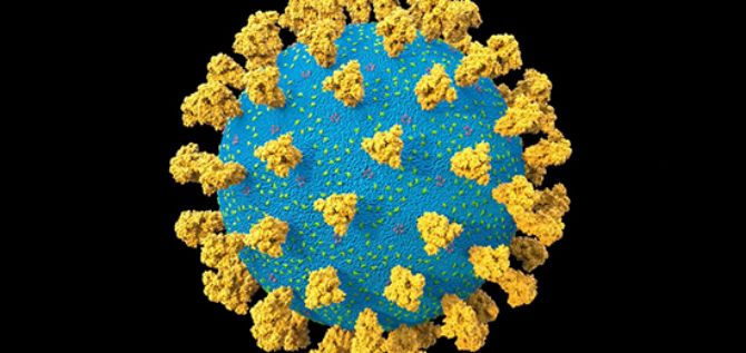 Latest SARS-CoV-II research from Diamond Light Source