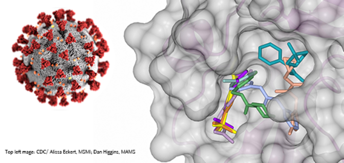 Fragment screening to fight COVID-19
