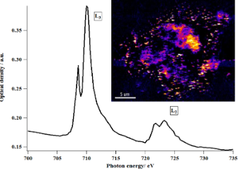 NEXAFS on Fe nanoparticles. Courtesy of Neil Telling, Keele University