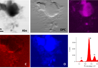 Transmission images and XRF maps of particles from Arctic sediments.  L. Benning, U Leeds