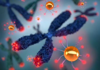 Finding out the nanoscale properties of human telomeres