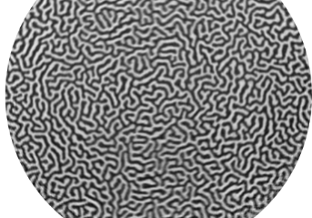 Ptychographic imaging of magnetic domains in Co/ Pt thin films. Courtesy of Claire Donelly, Cambridge.