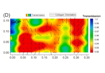 The orientation of bone mineral nanocrystals