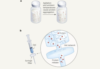 Mechanical release of homogenous proteins from supramolecular gels