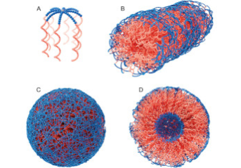 Nanoparticles form supercrystals under pressure