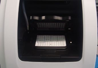 RT-PCR for nano-DSF