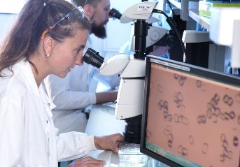 Leica Microscopes for mounting crystals and checking crystal plates